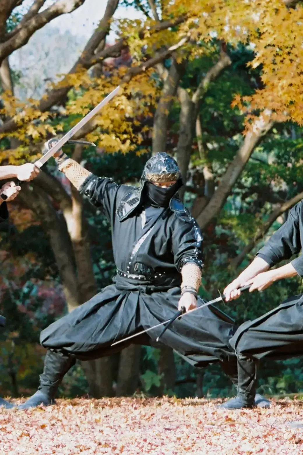 Key art for the screenplay Mikado